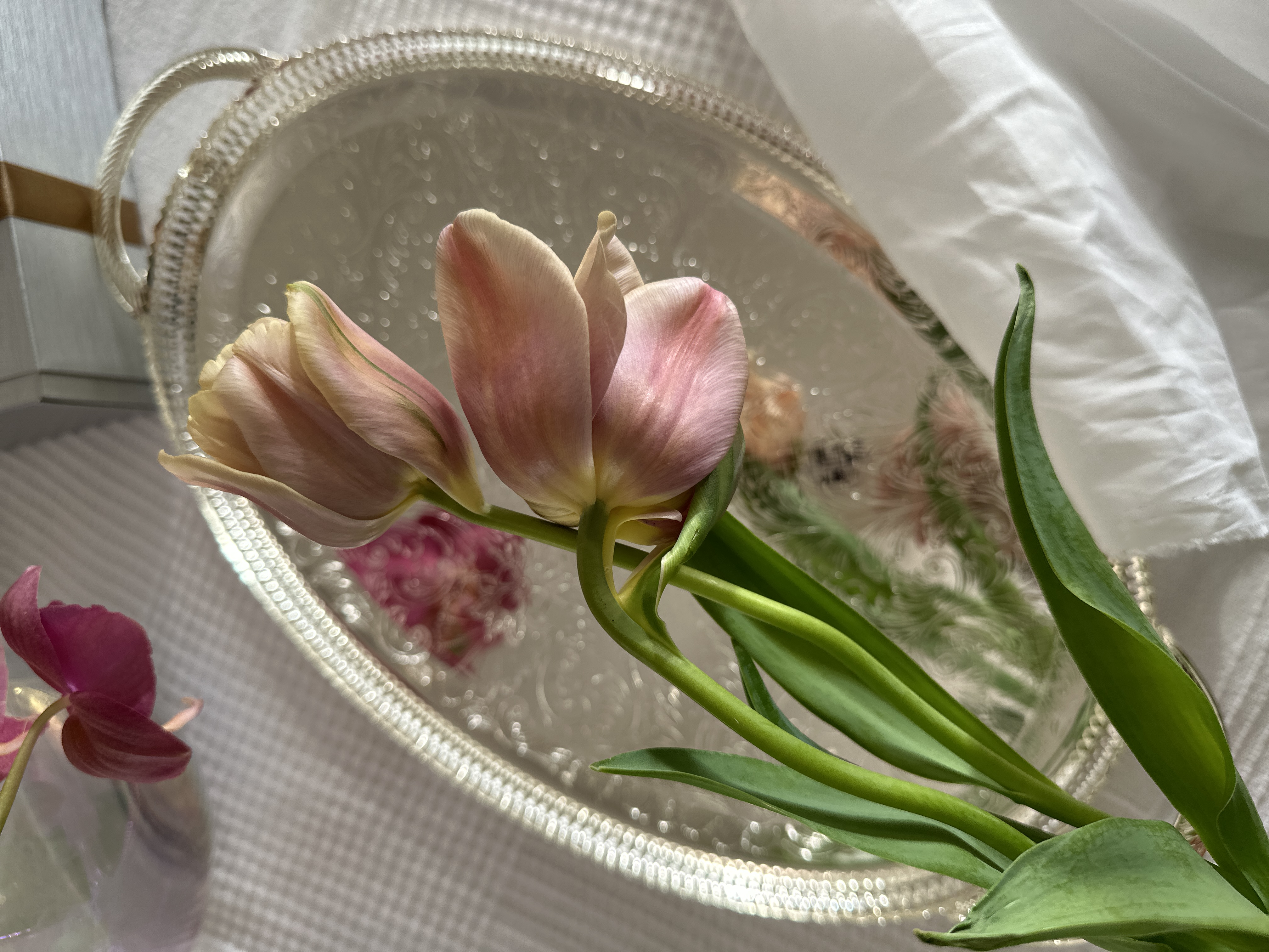 プロフィール作成をイメージした花の写真